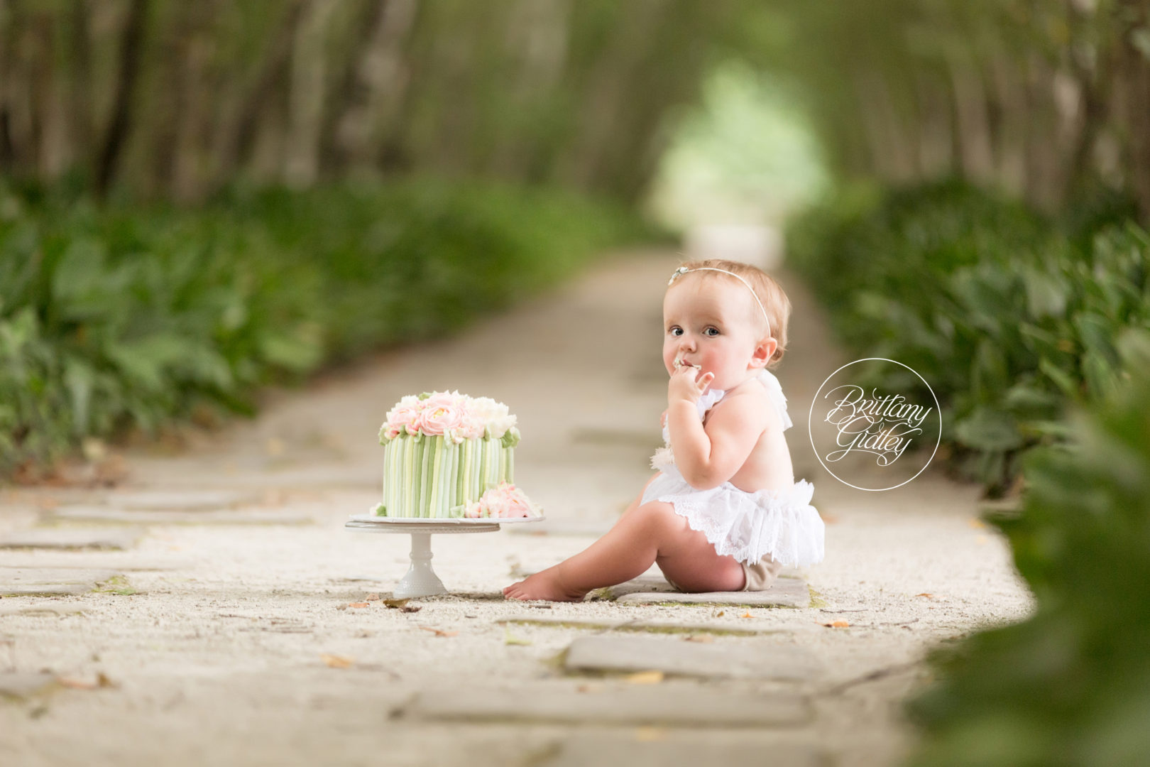 Cake Smash Photo Shoot | Stan Hywet Photographer | Baby Photography