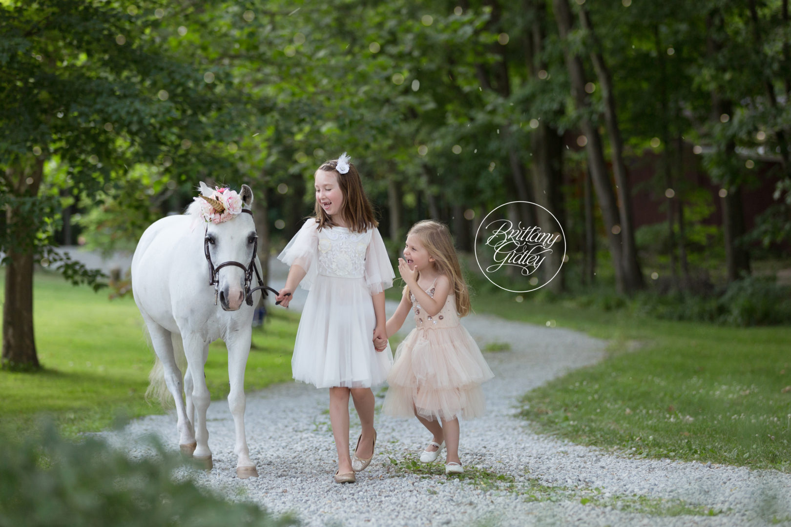 Unicorn Photo Shoot | Brittany Gidley Photography | Unicorn Dream Session