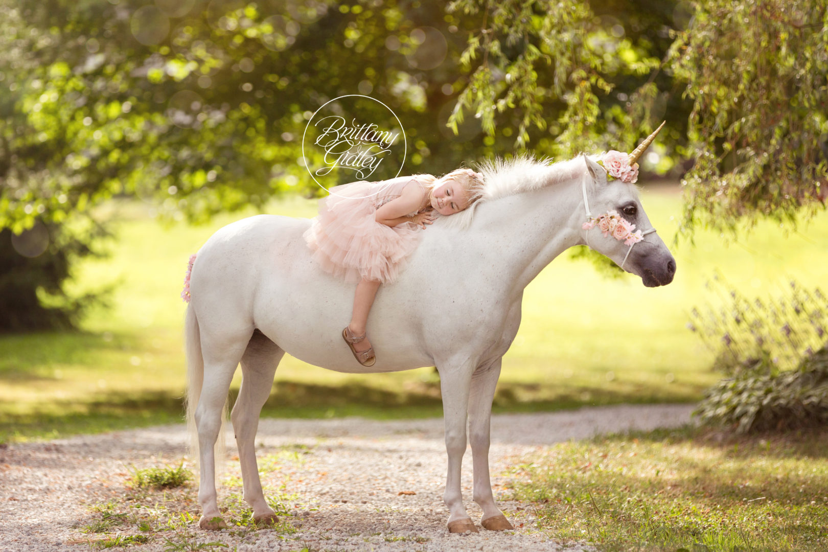 Believe In Magic Unicorn Dream Session | Unicorn Photo Shoot
