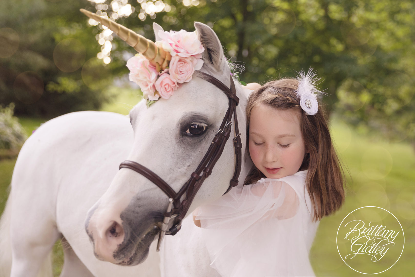 A Magical Day Unicorn Dream Session