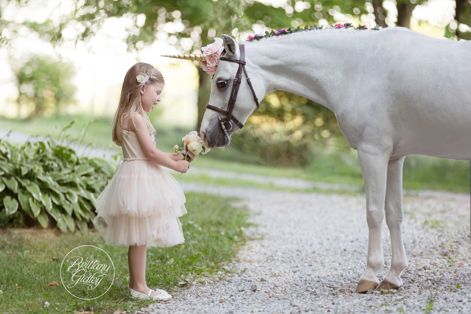 Unicorn Photography of Children | Brittany Gidley Photography