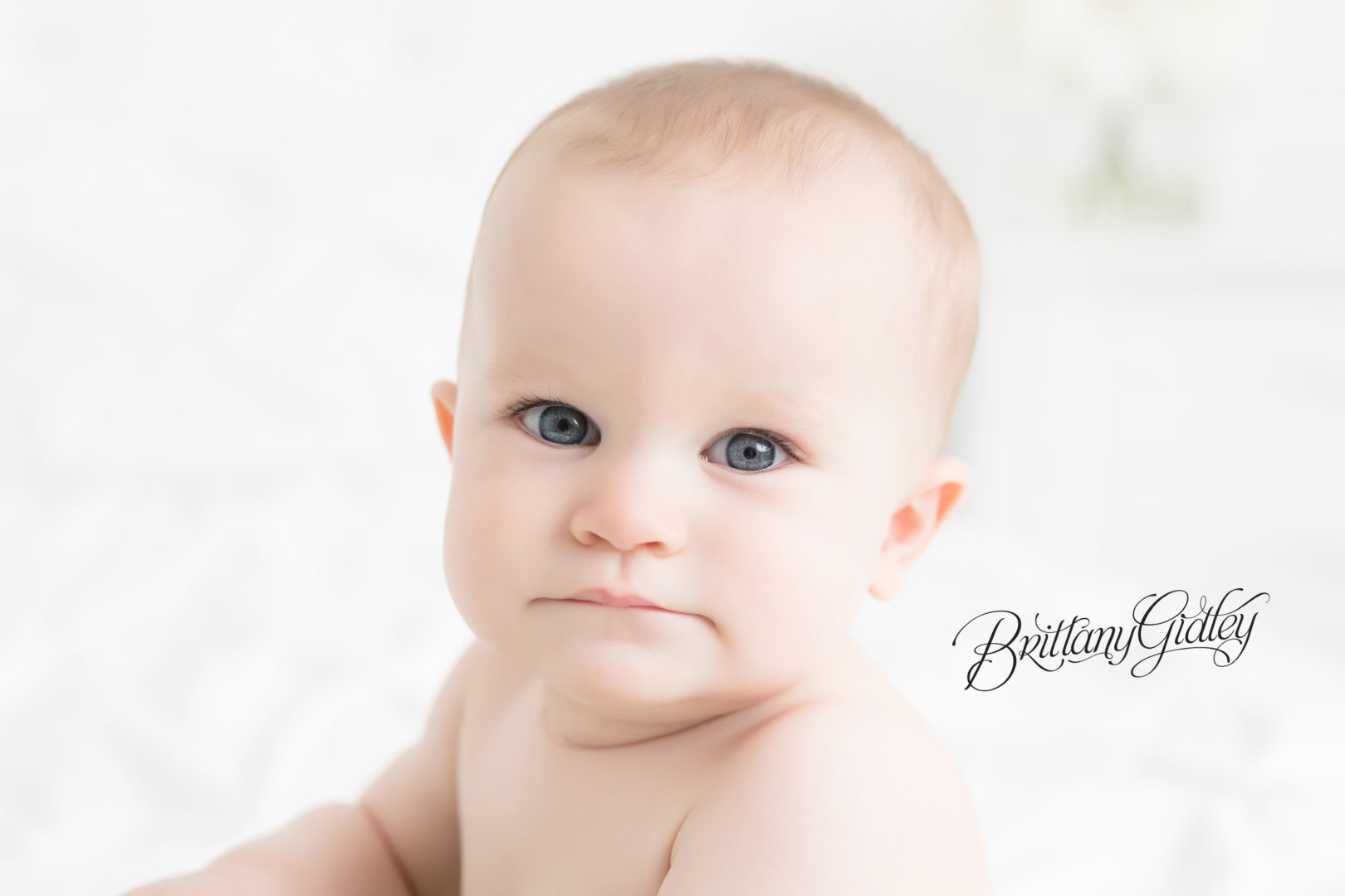 Cake Smash Photographer Cleveland | Reed 12 Months