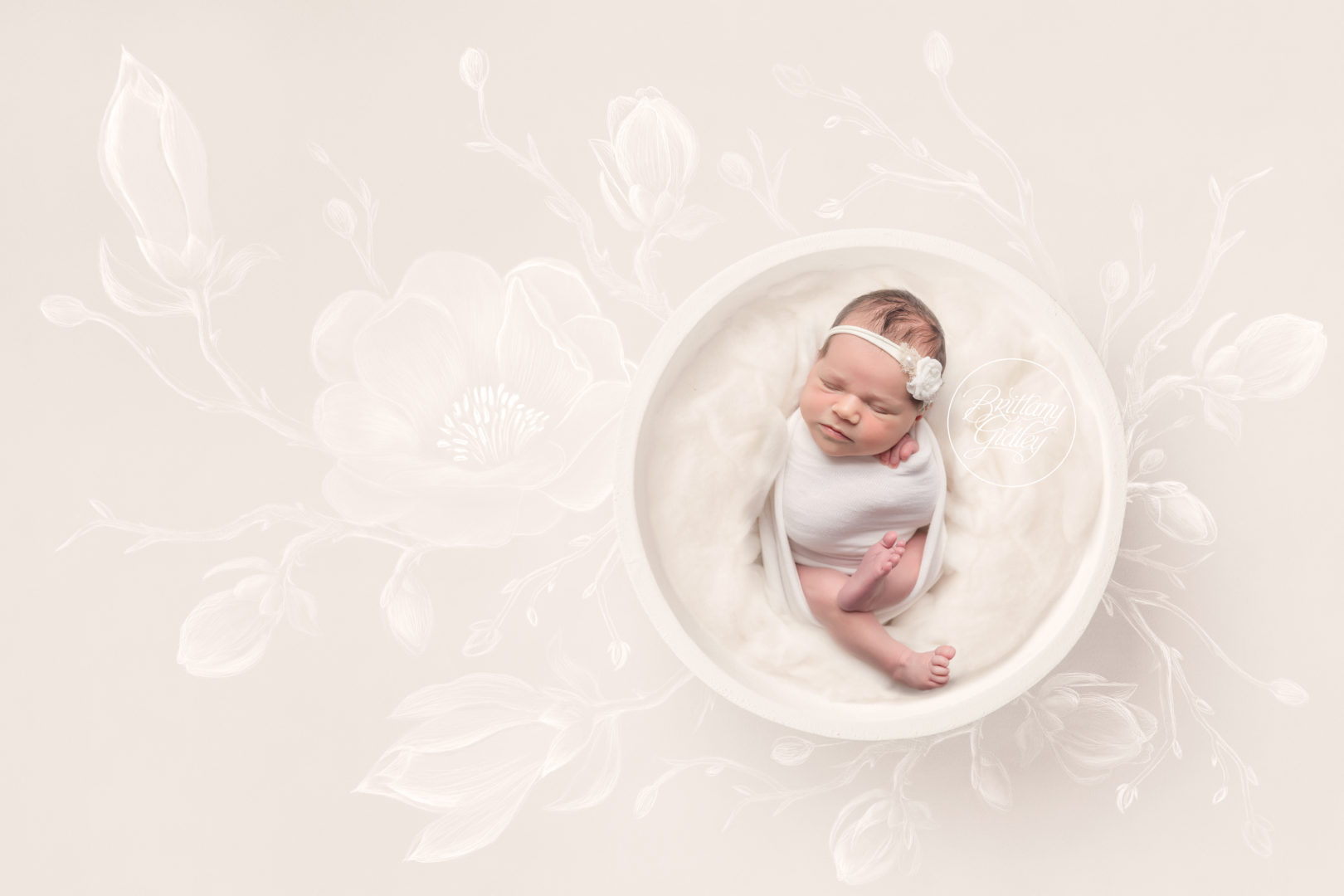 Newborn Photography Cleveland Ohio | Dahlia Dream Session