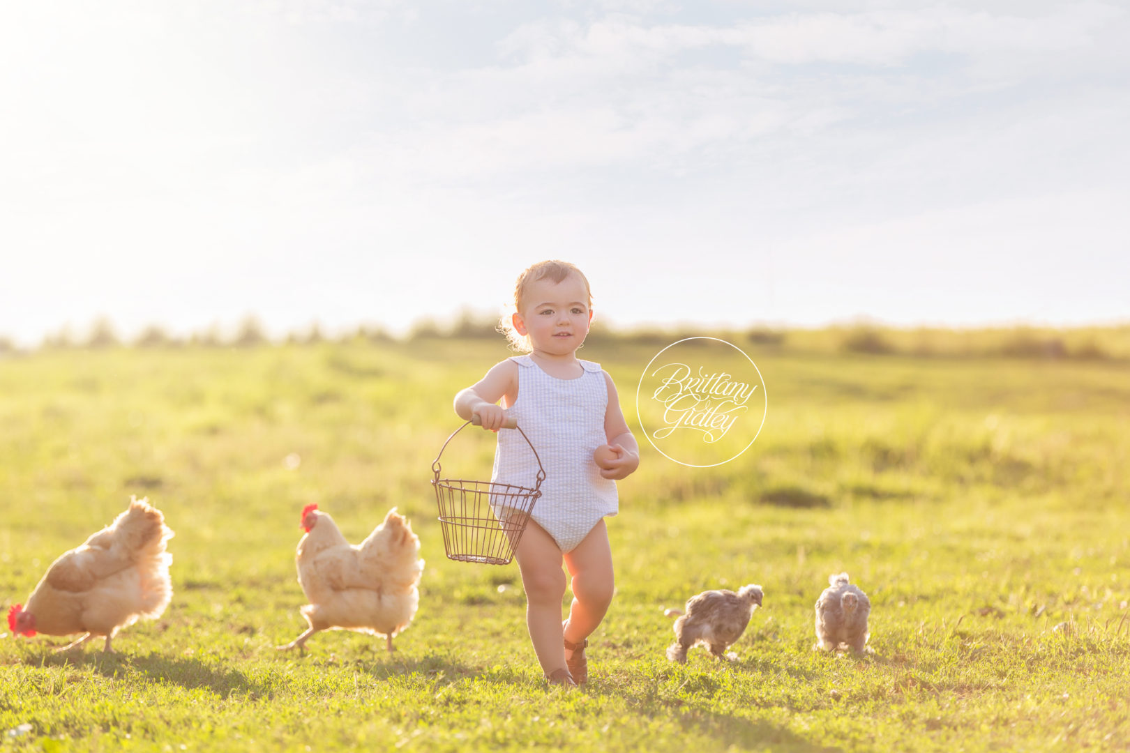 Farm Photo Shoot | Farm Fun Dream Session