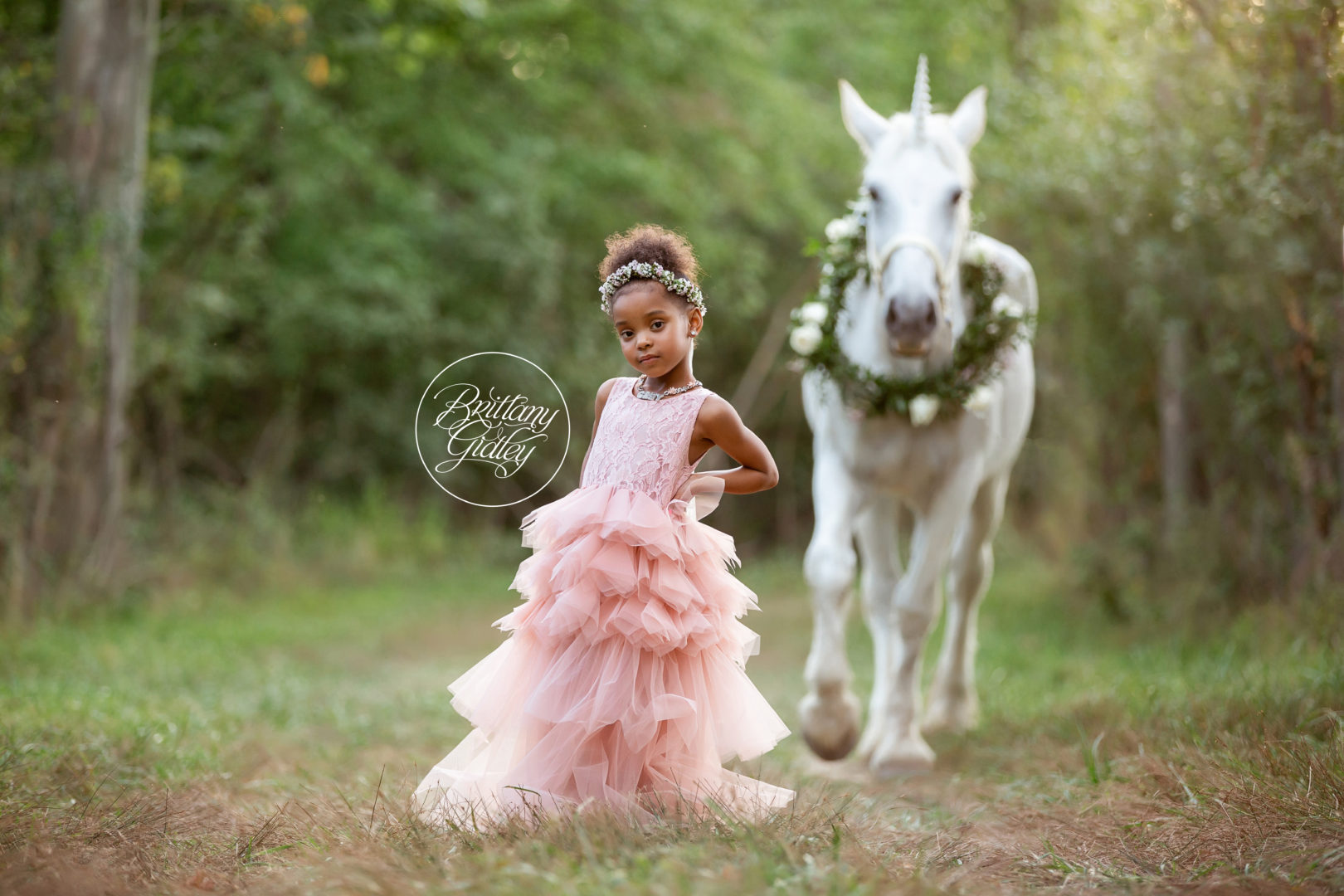 Grey's Magical Day Unicorn Dream Session