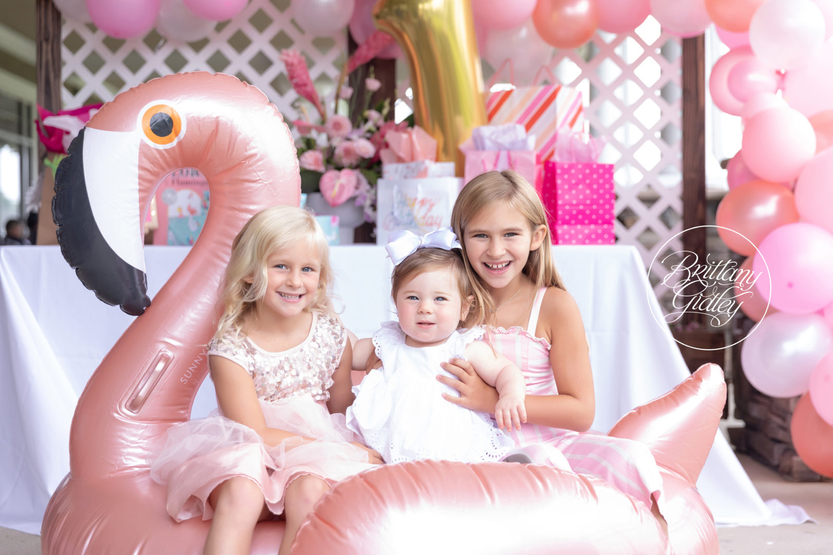 Flamingo Dream Session | Margot 12 Months