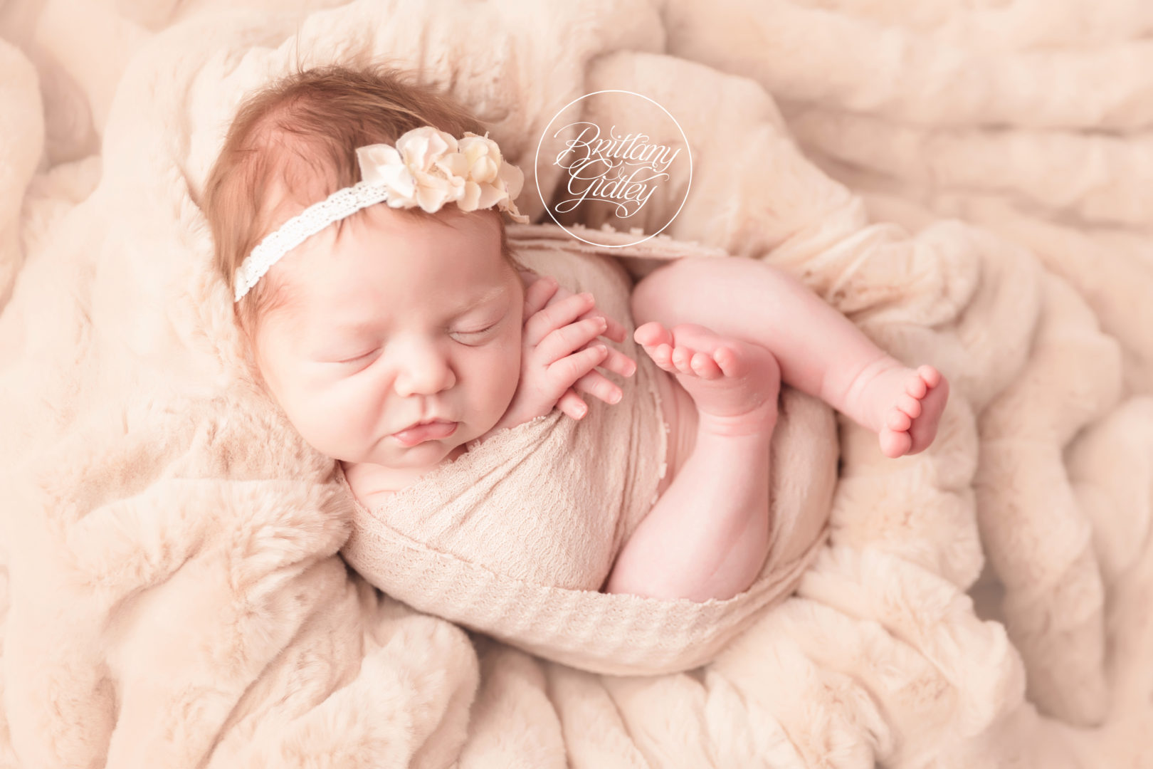 Newborn Photography Cleveland Ohio | Introducing Eddison