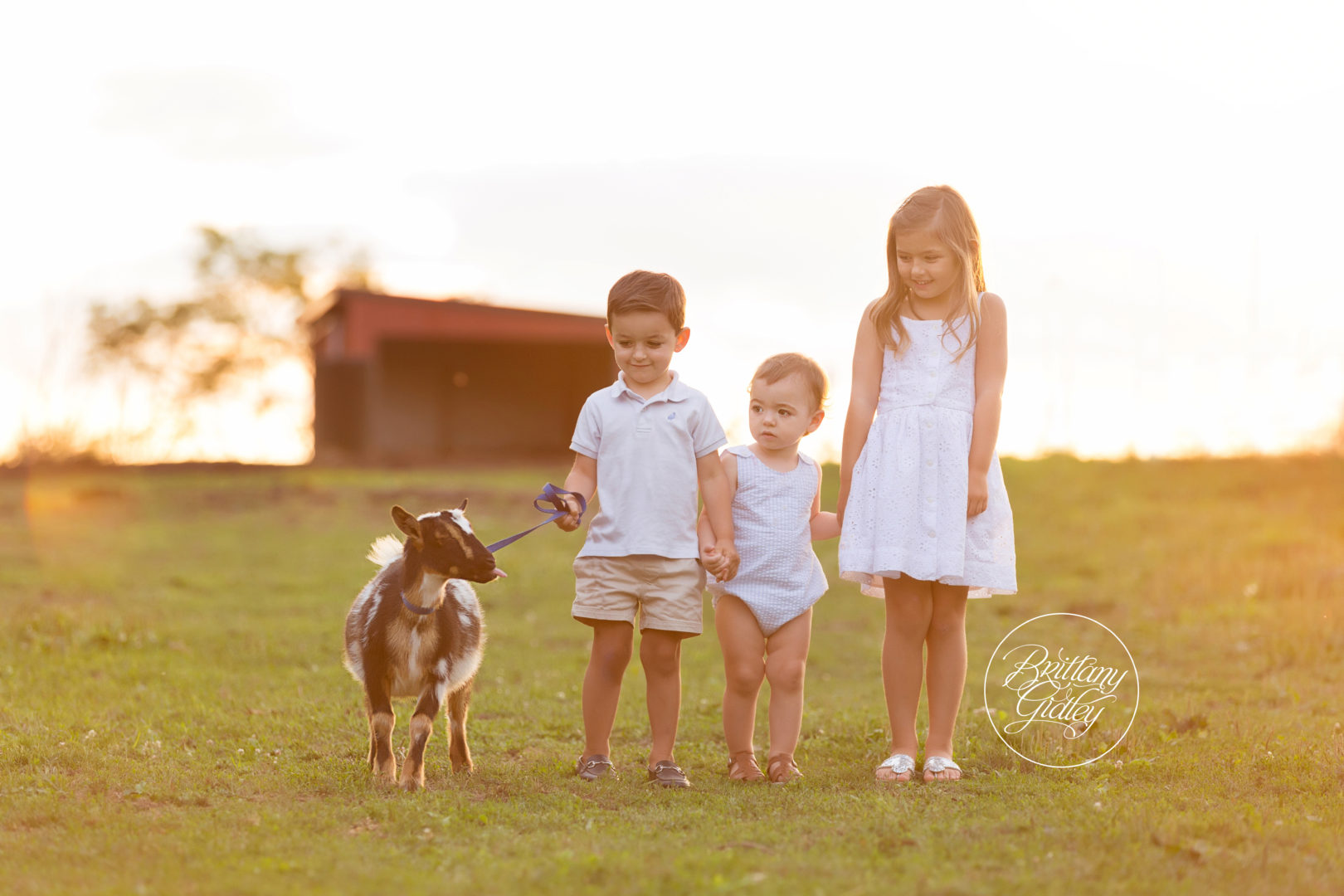 Kids With A Goat Photo