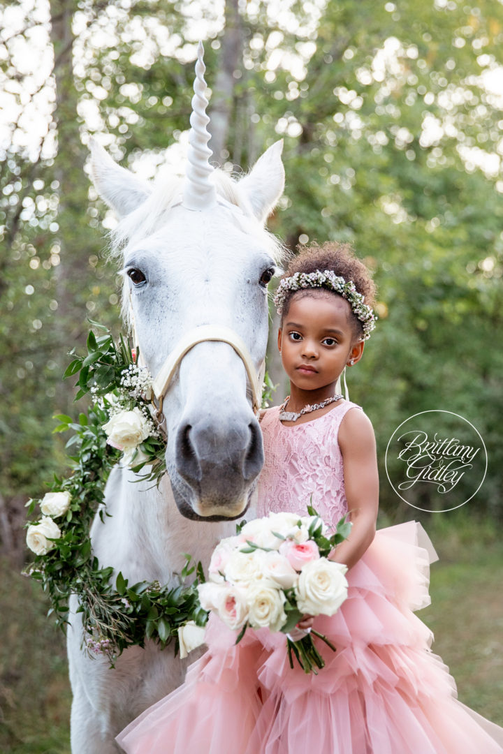 Unicorn Themed Pictures