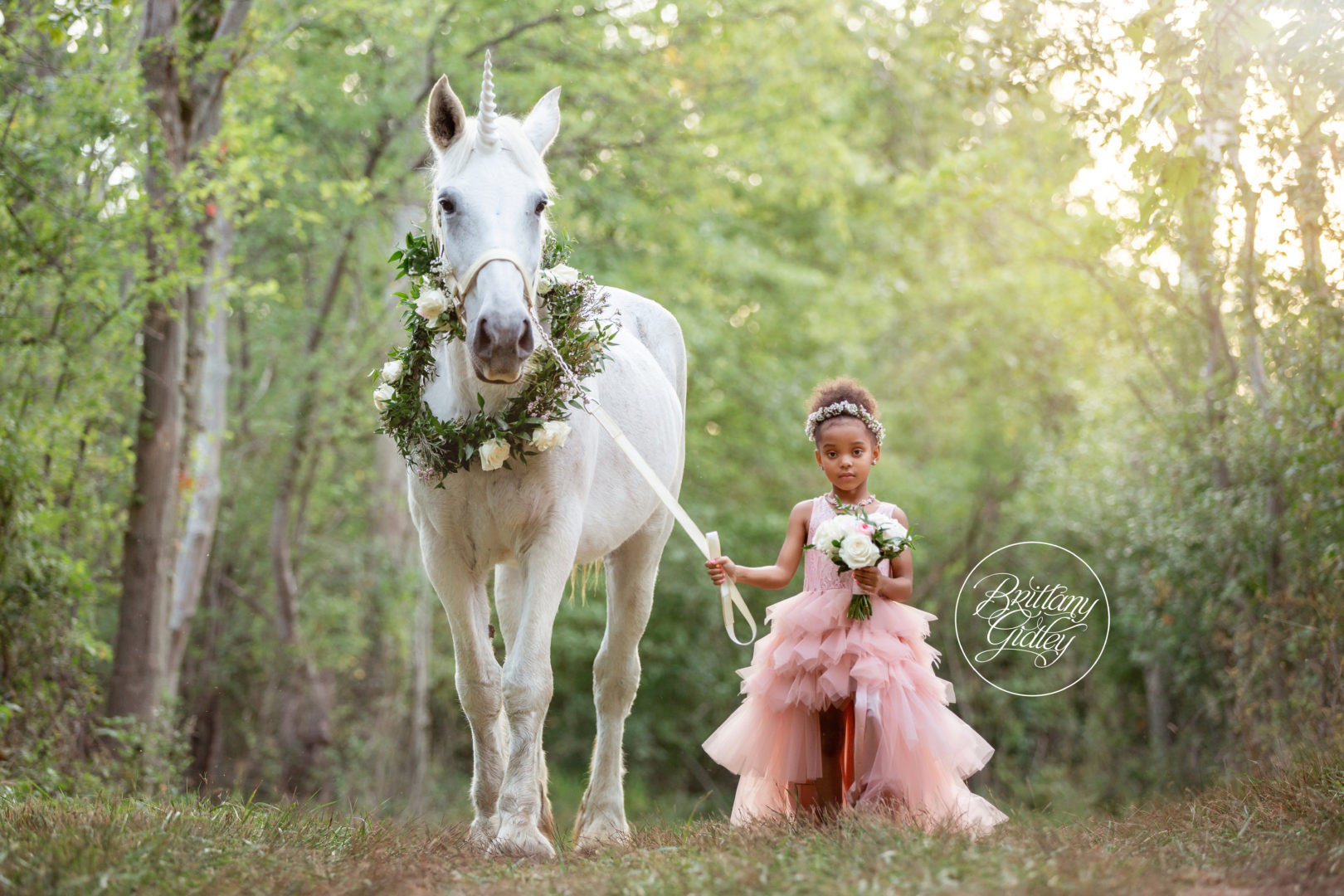 Unicorn Dream Session Brittany Gidley