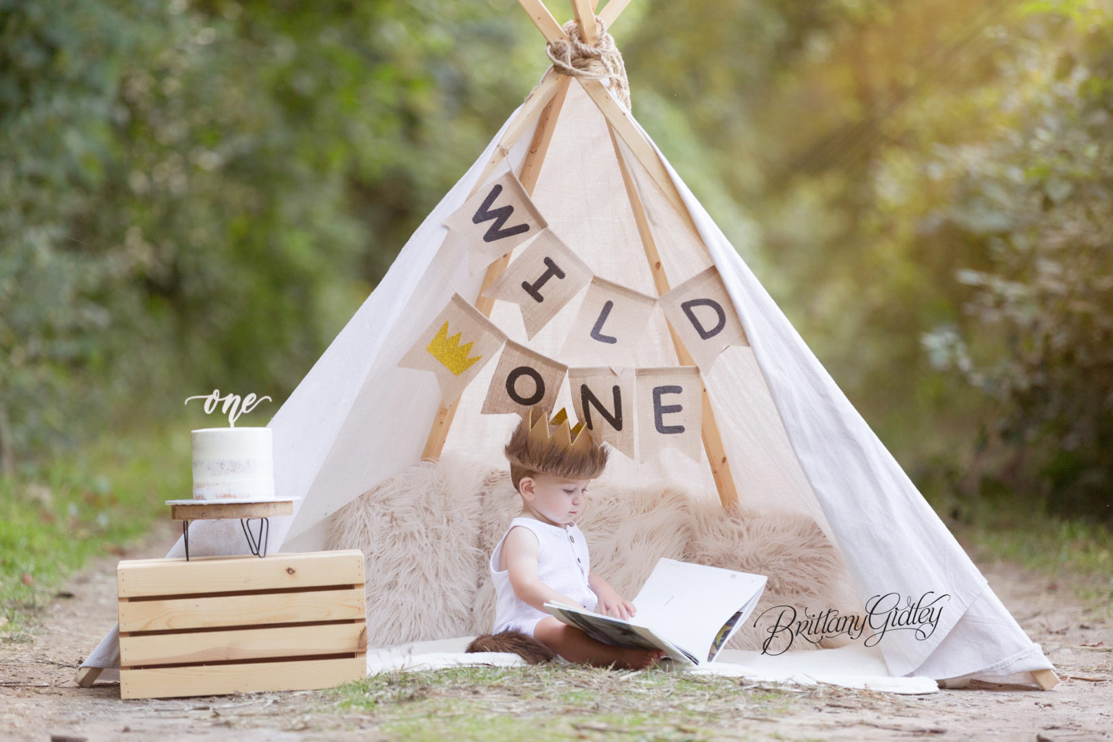 Wild One Cake Smash Dream Session | Kevin 12 Months | Edgewater Beach
