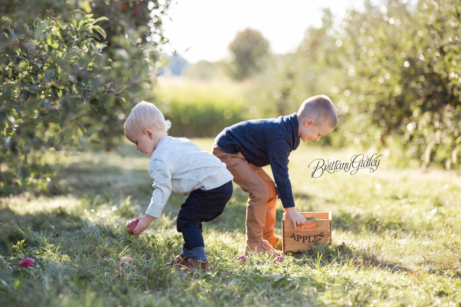 Best Apple Orchard Photos | The Rea Family
