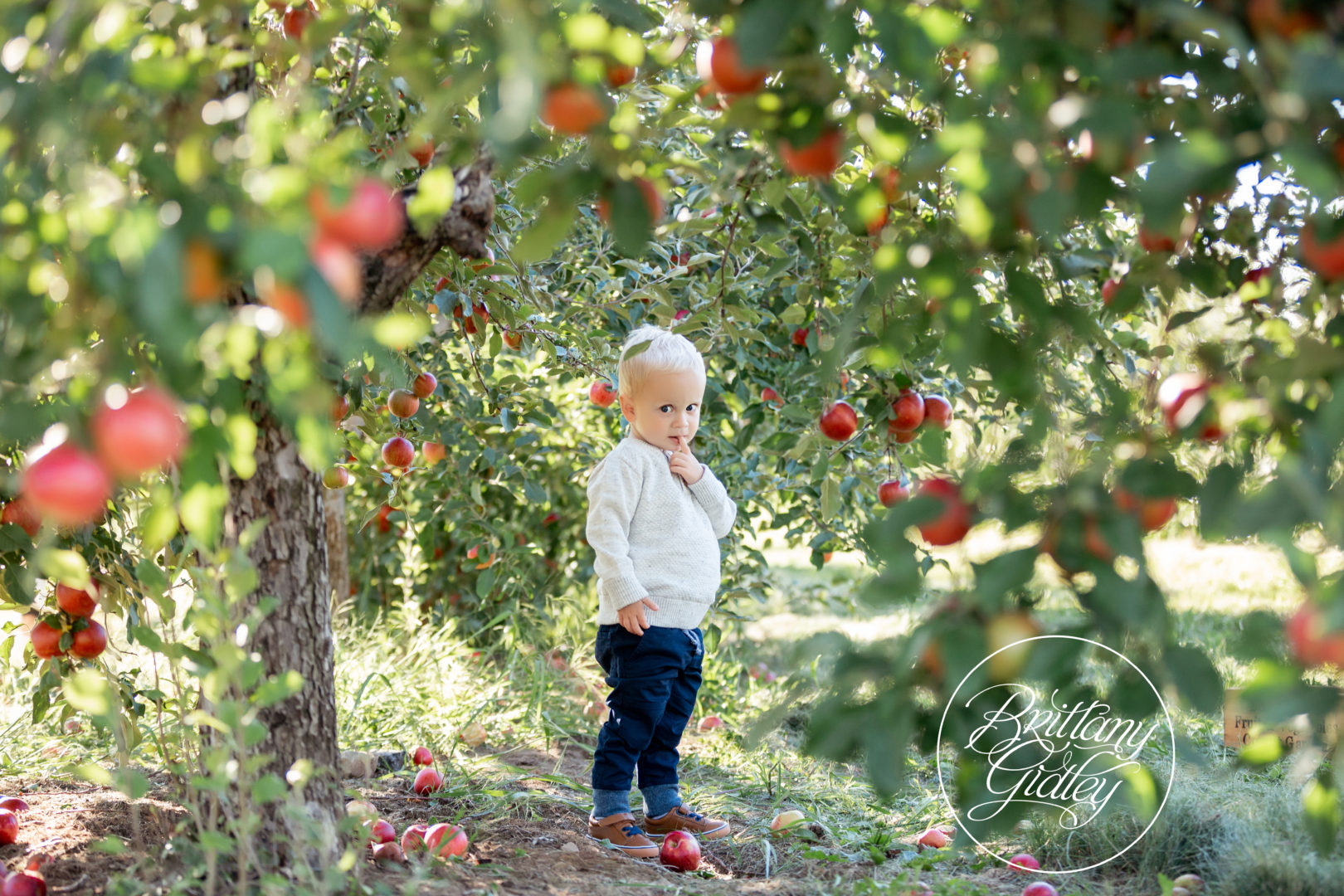 Best Apple Orchard Photos | The Rea Family