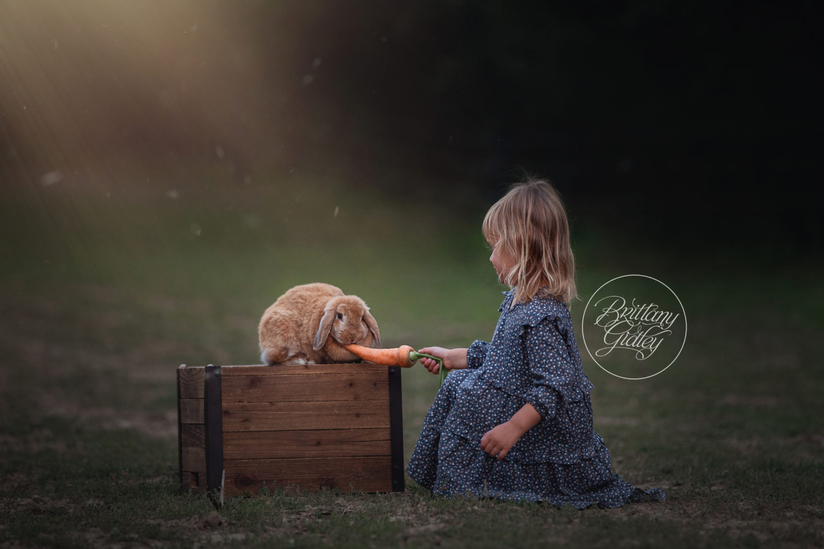 Life Is Better On The Farm Dream Session | The Conklin Family