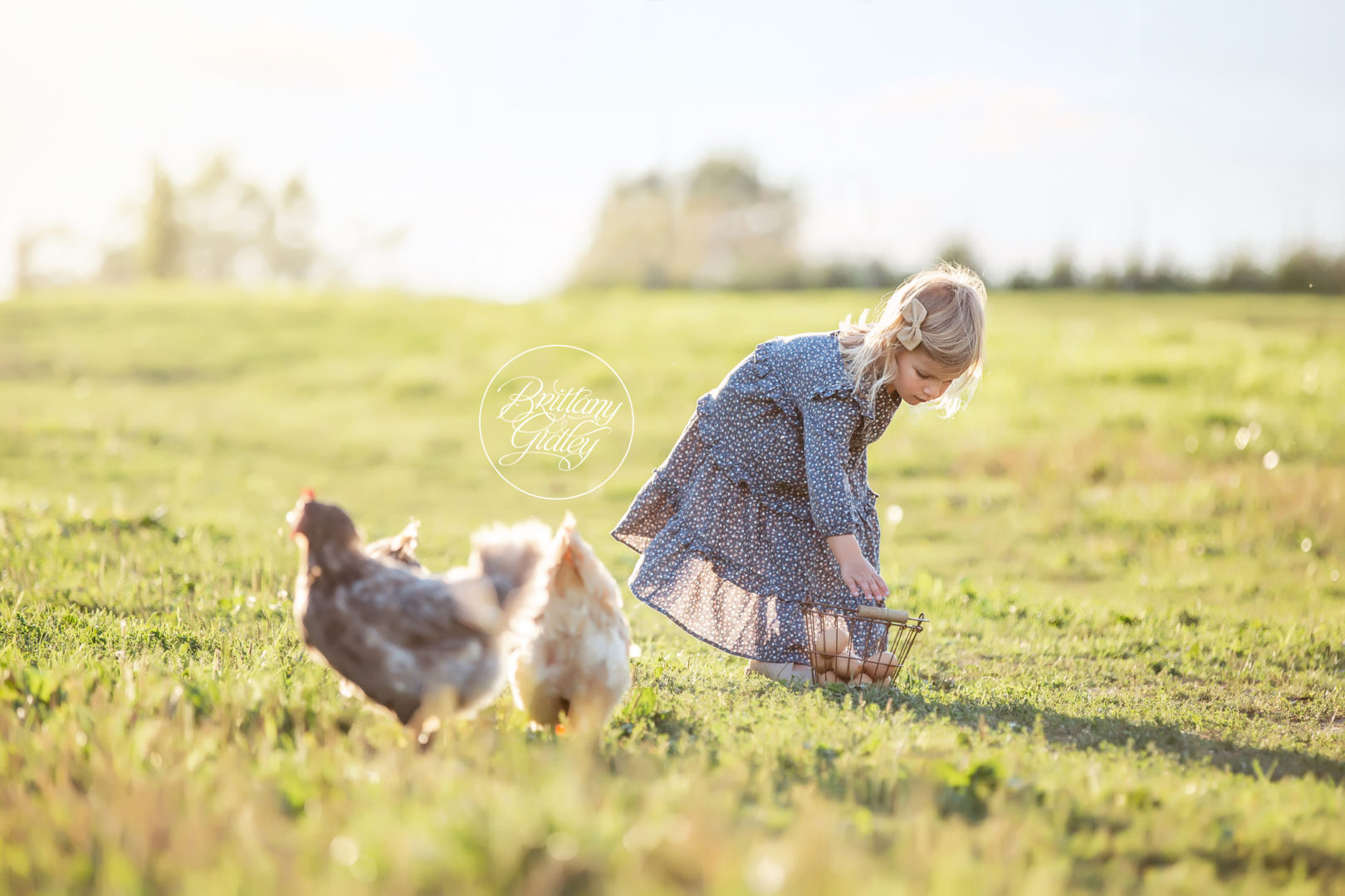 Farm Dream Session by Brittany Gidley Photography
