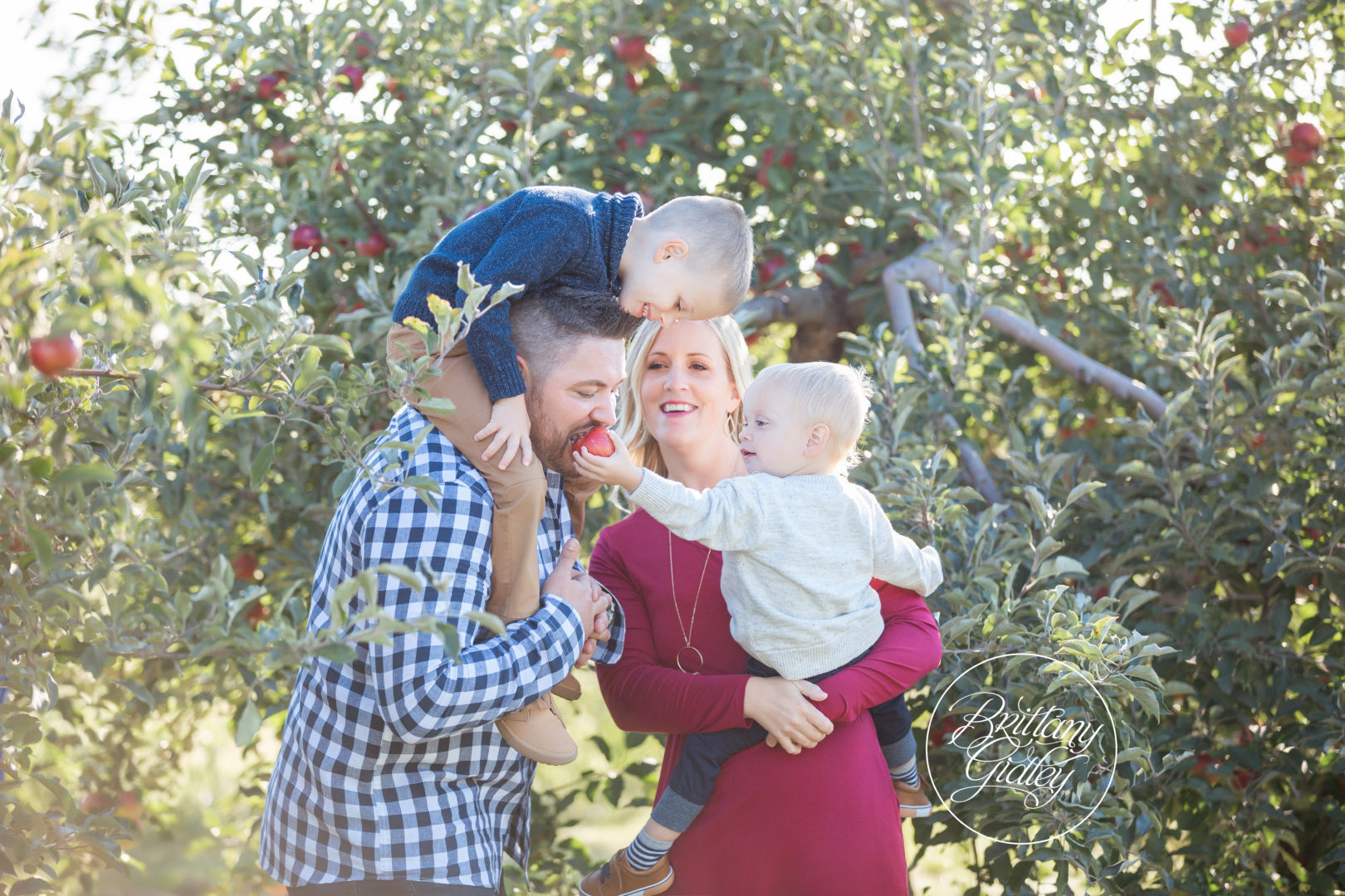 Best Apple Orchard Photos | The Rea Family