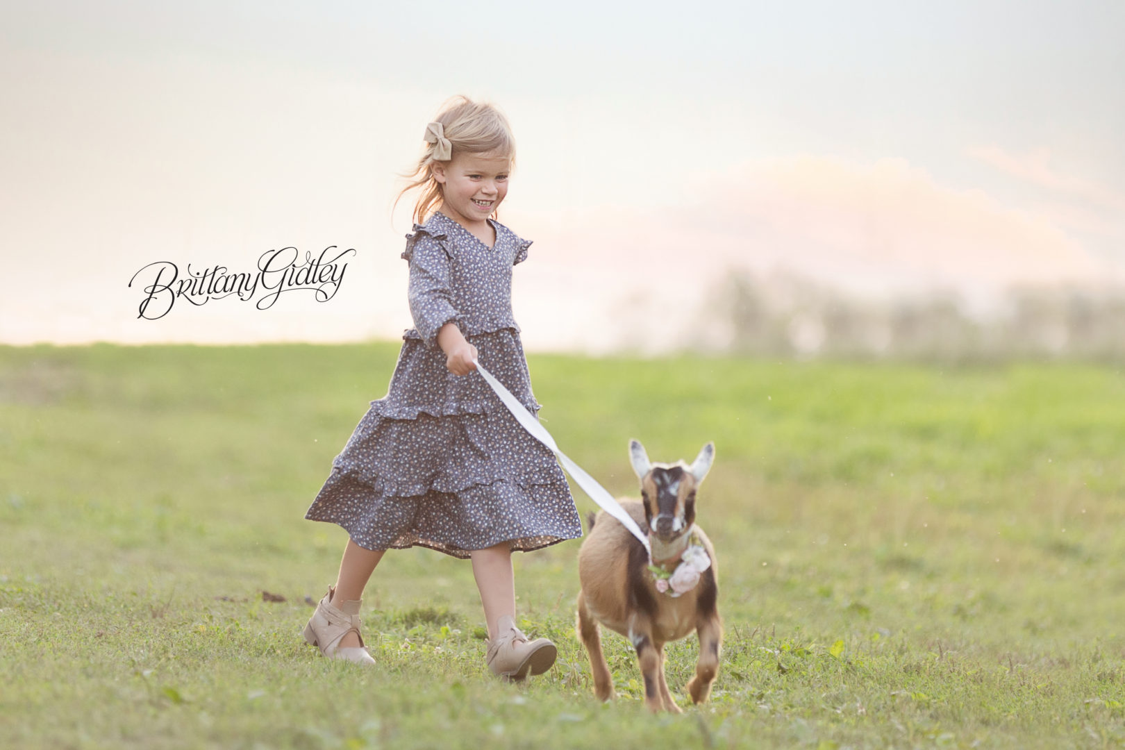 Farm Dream Session by Brittany Gidley Photography