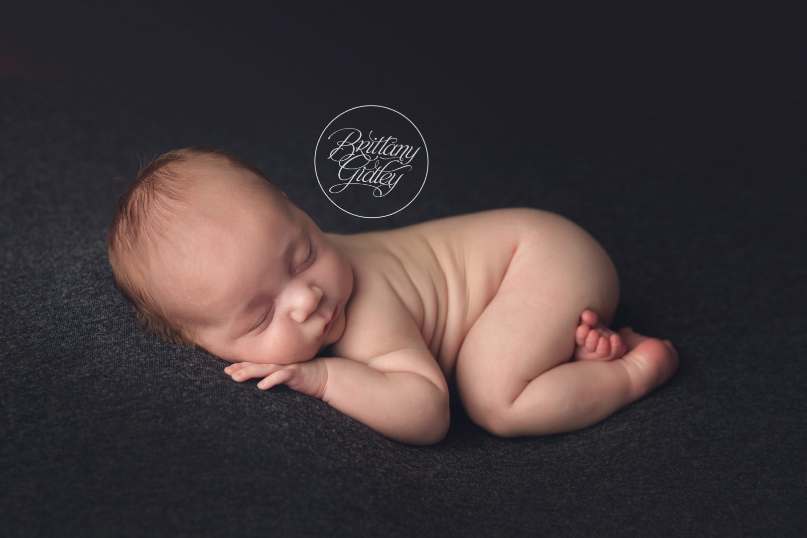 7 Week Old Photo Shoot | Introducing Angelo