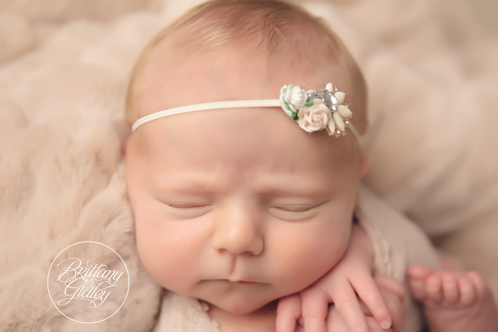 Ohio Newborn Photographer