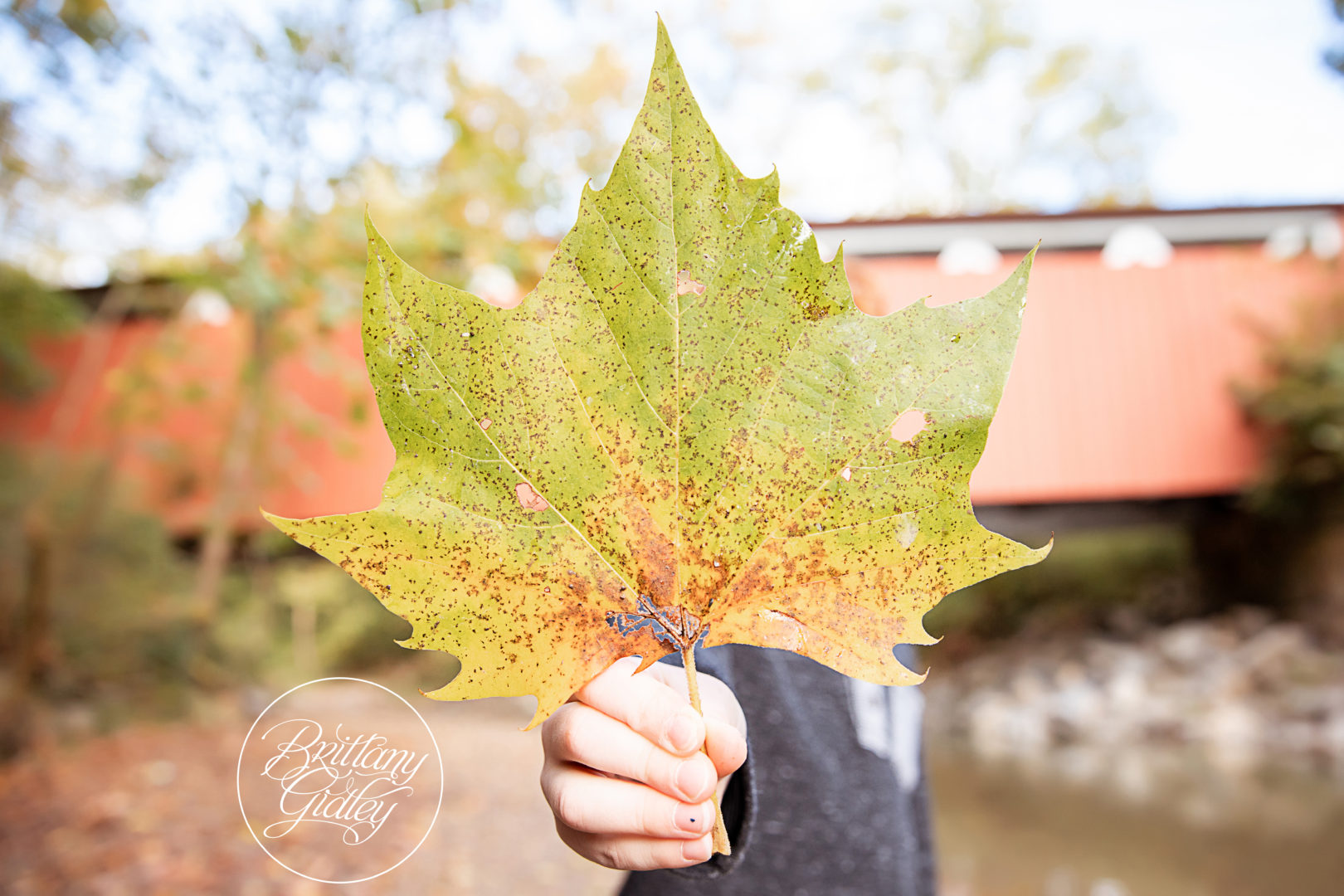 Best Fall Family Photos