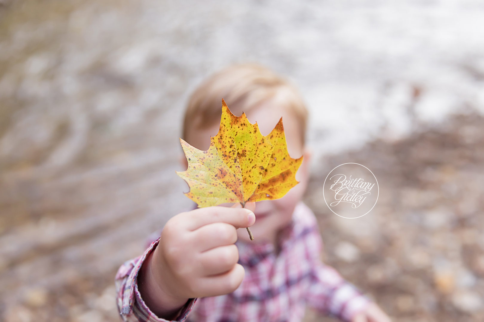 Fall Photo Shoot at Brecksville Reservation