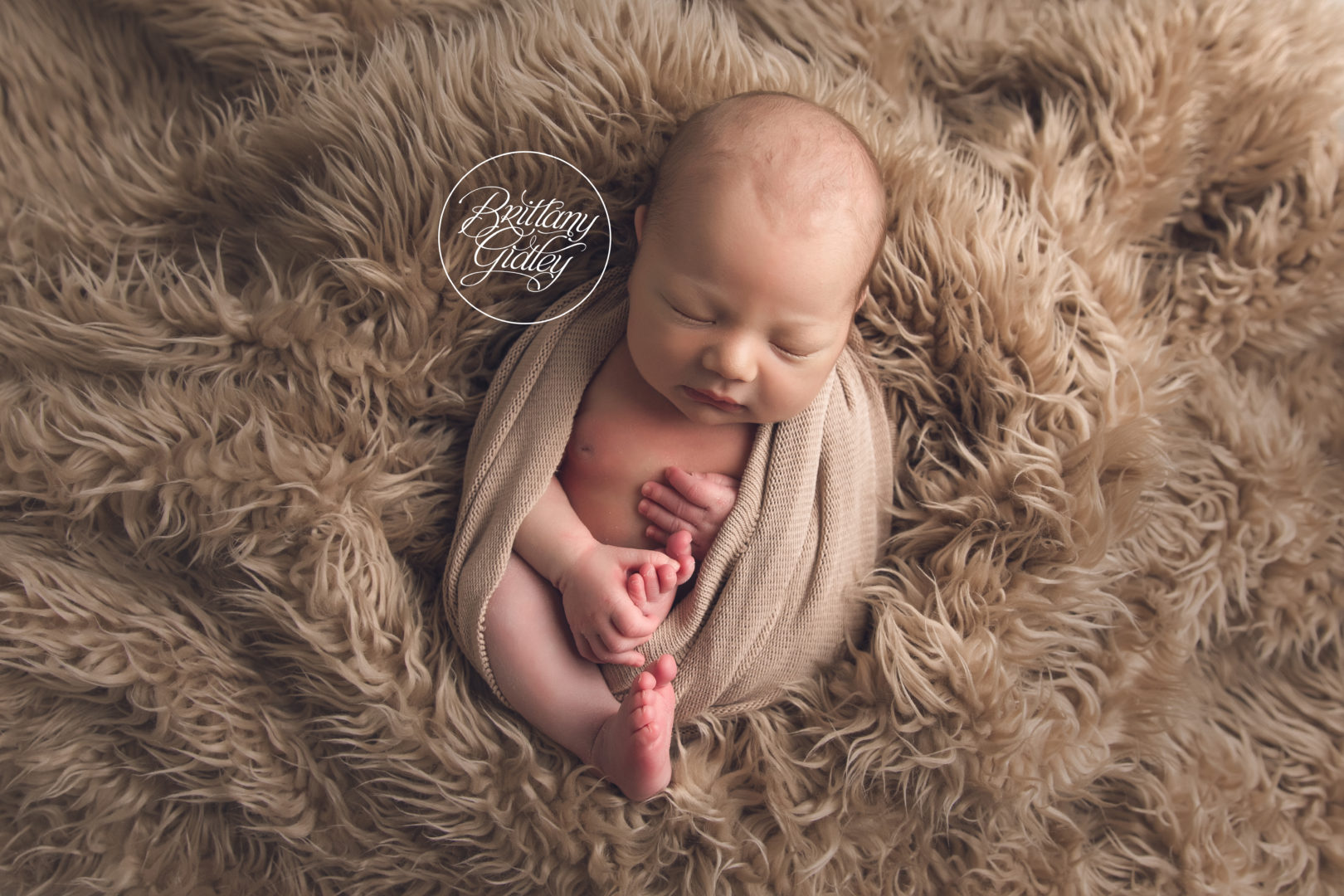 Baby Photographer Cleveland Ohio