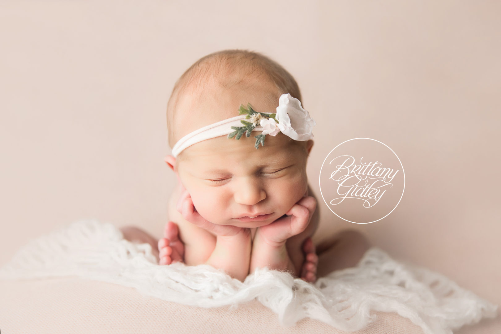 Newborn Photography in Cleveland Ohio | Introducing Sophia