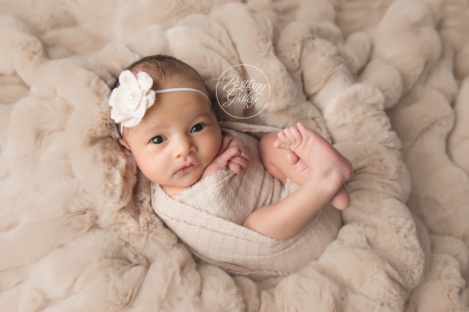 Avon Newborn Photography 