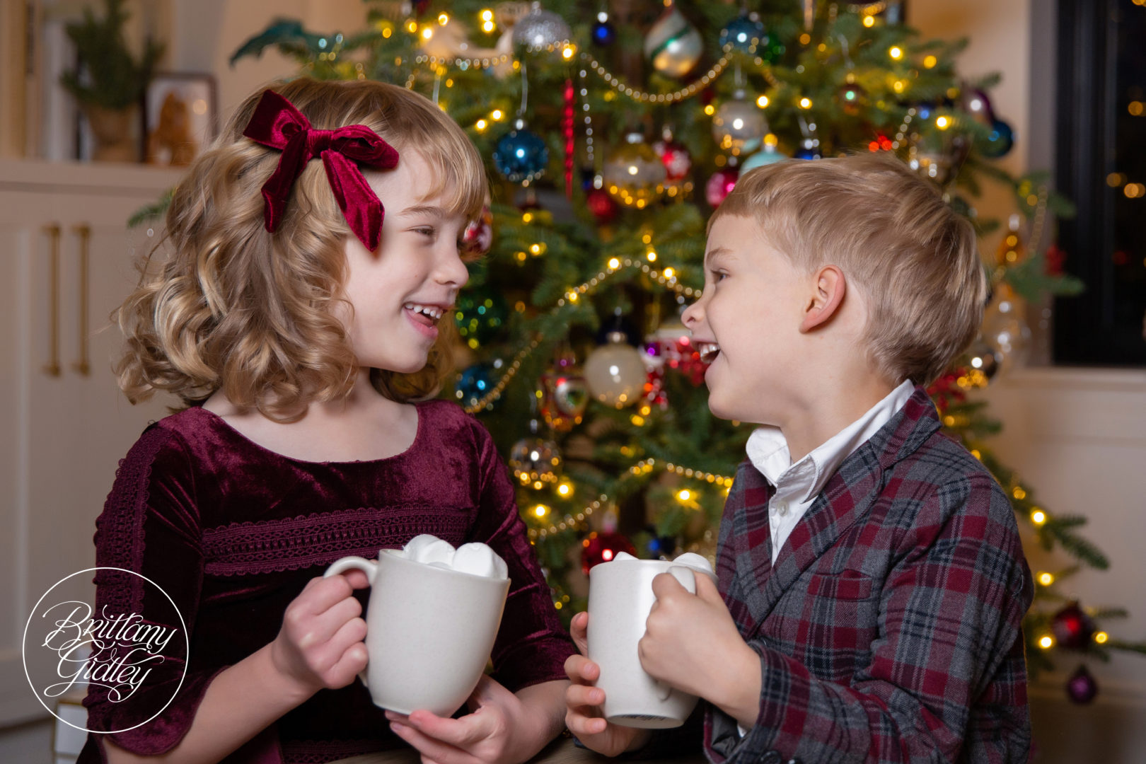 Christmas Tree Photography | The Brakey Family