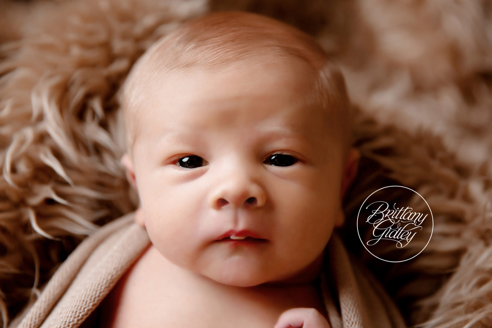 Ohio Newborn Photographer