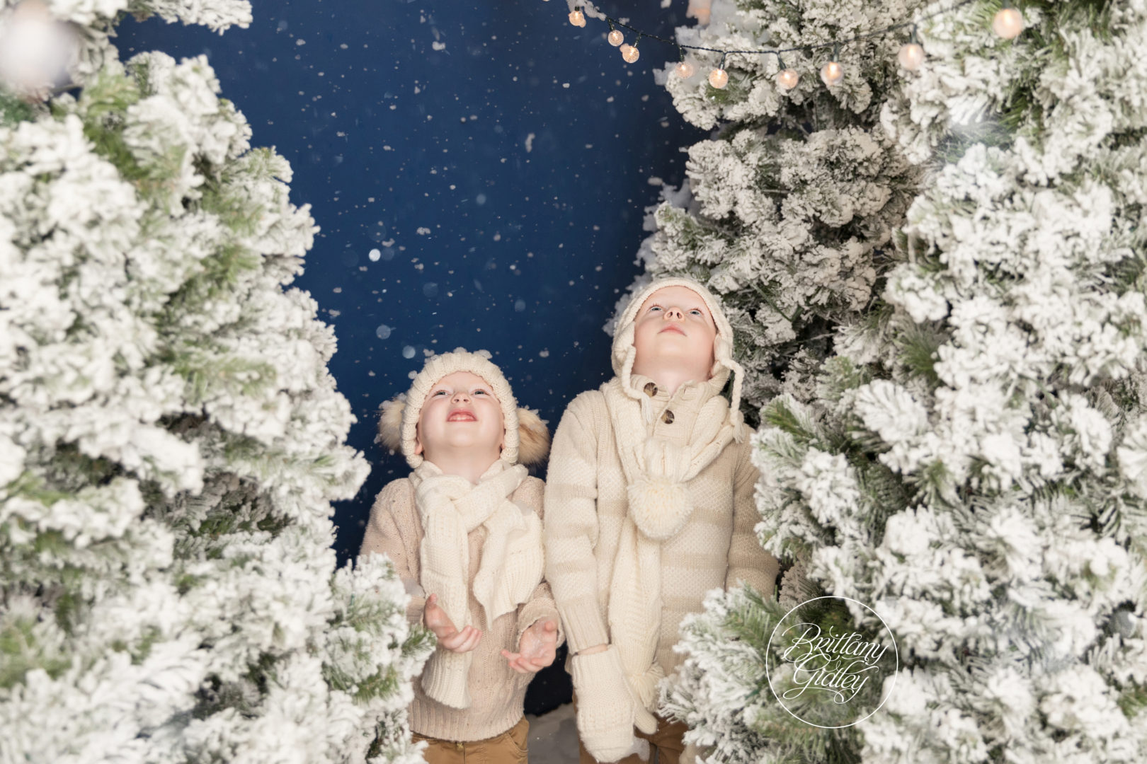 Christmas Tree Photo Shoot