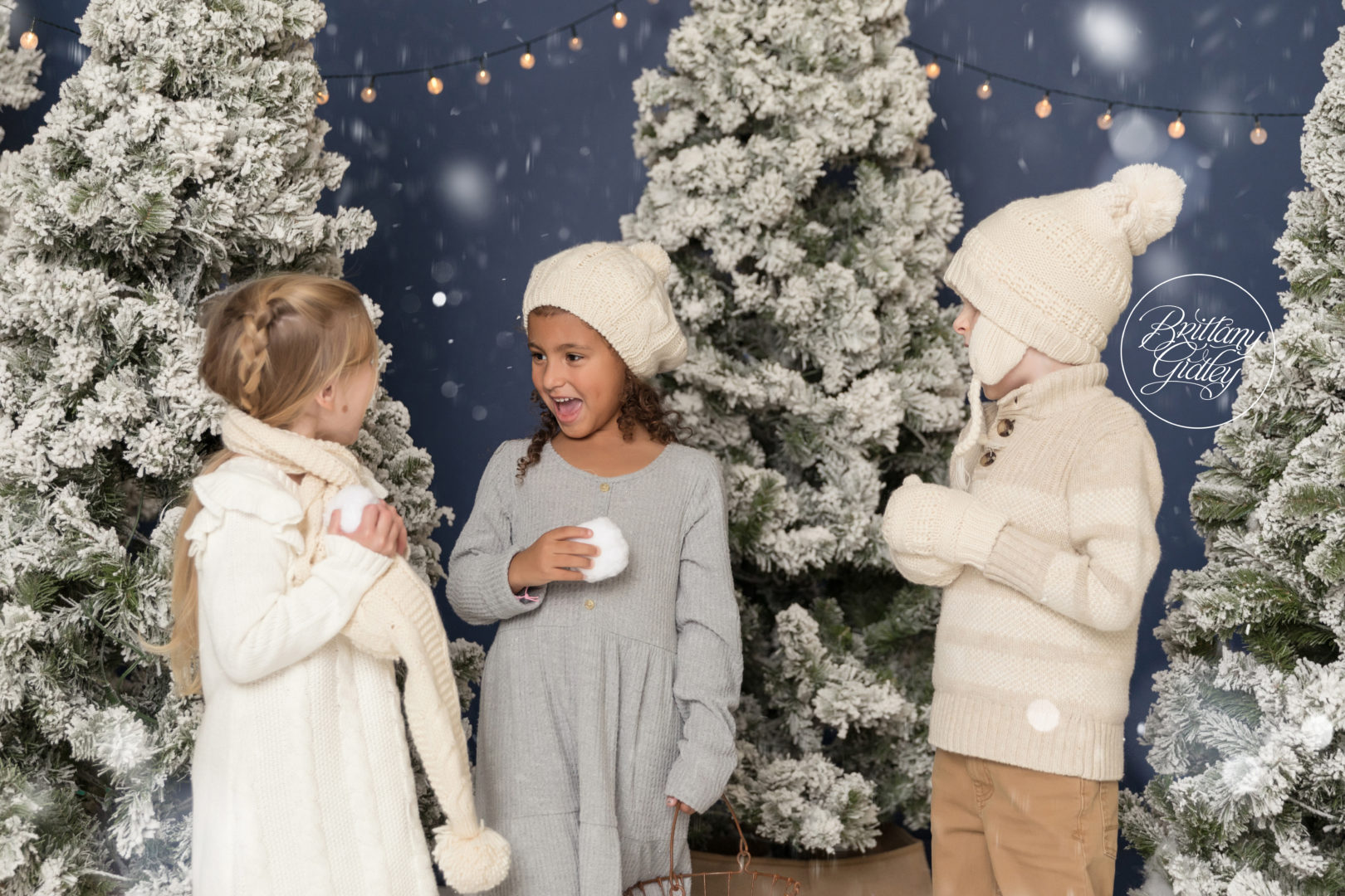 Christmas Tree Photo Shoot