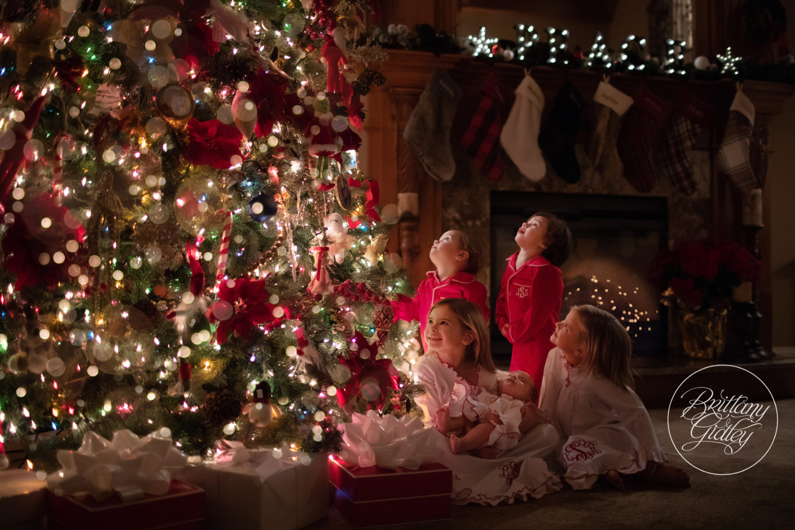 Home For The Holidays Dream Session Cleveland Ohio