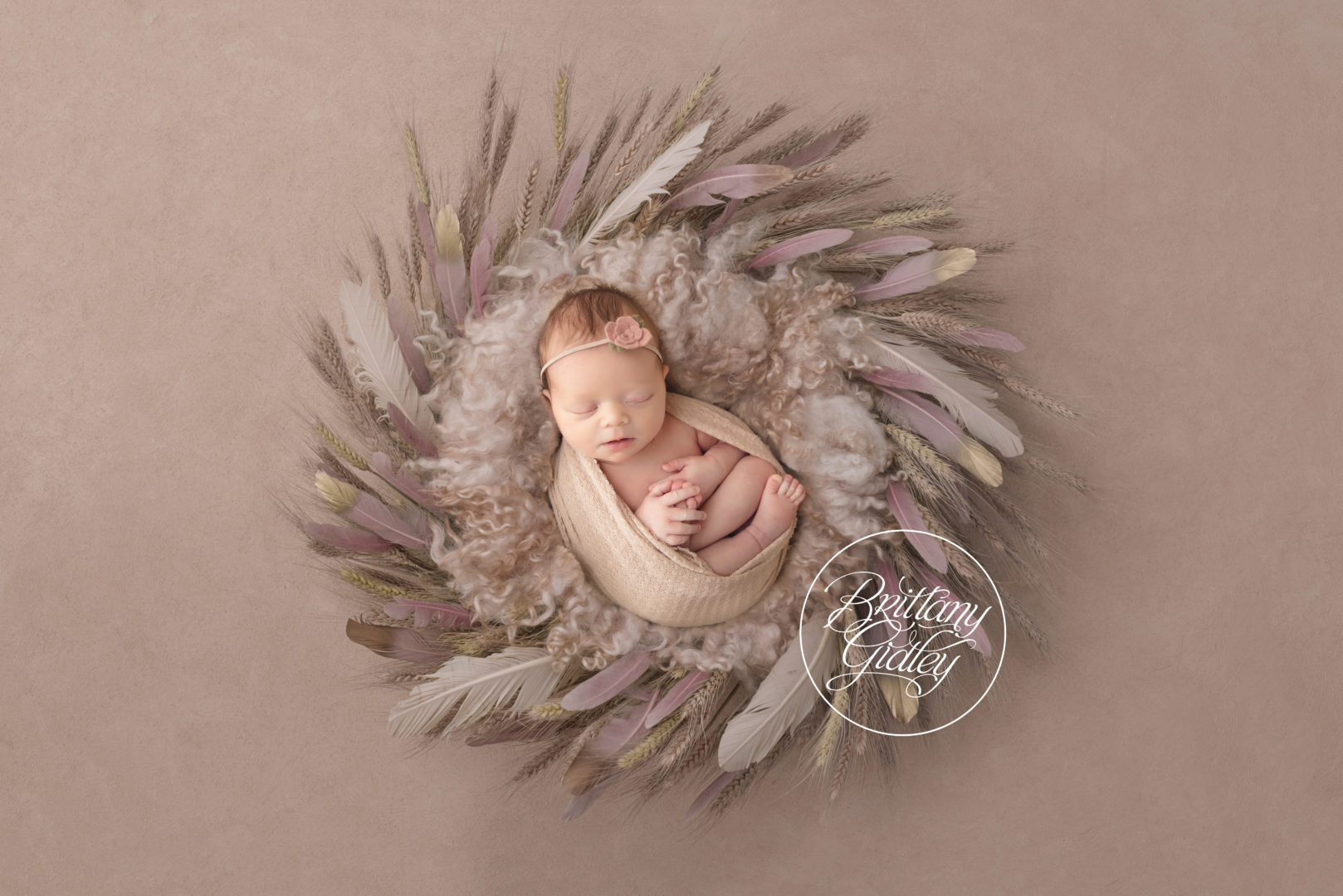 Indianapolis Newborn Photographer