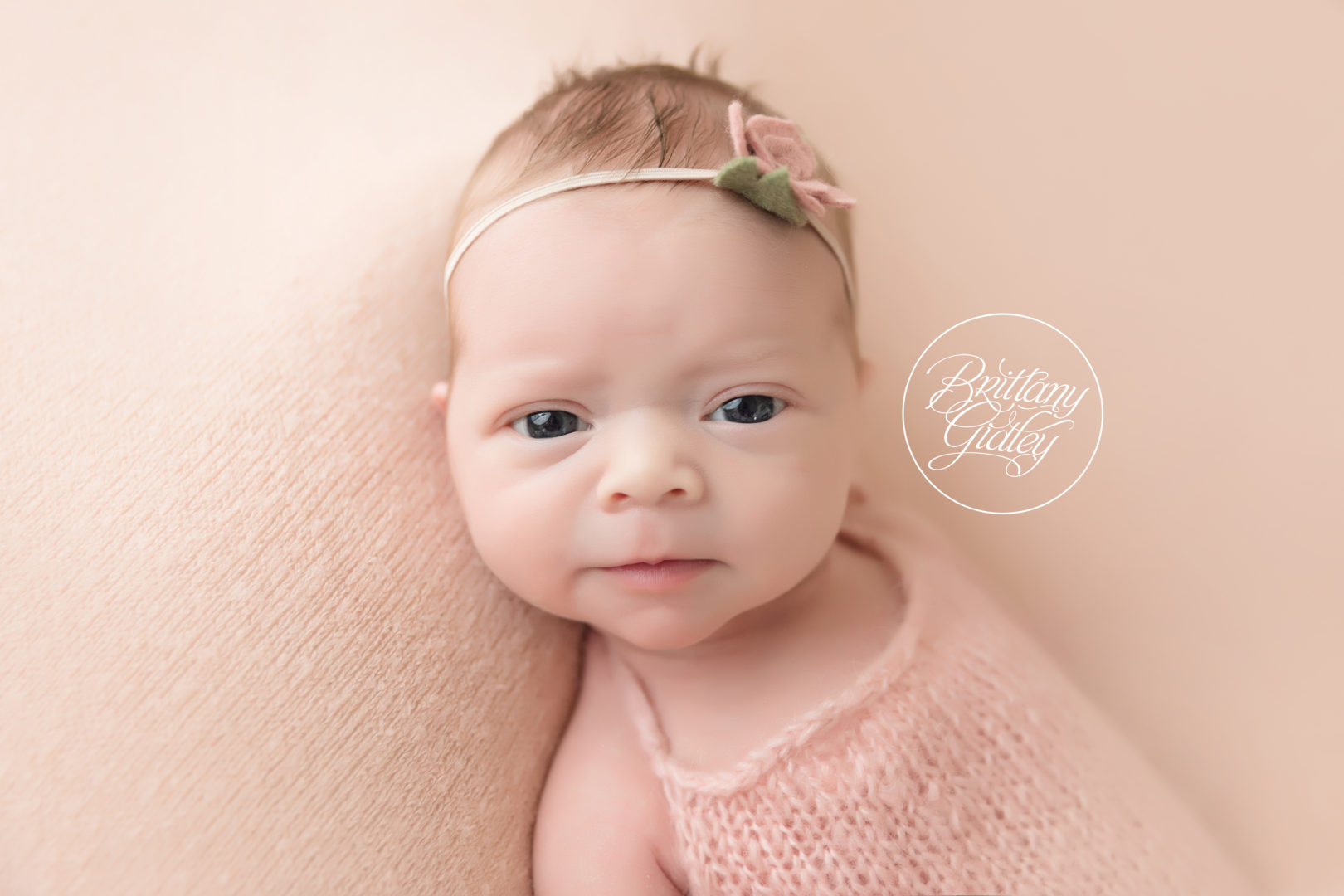Blushing Baby Cosette Dream Session