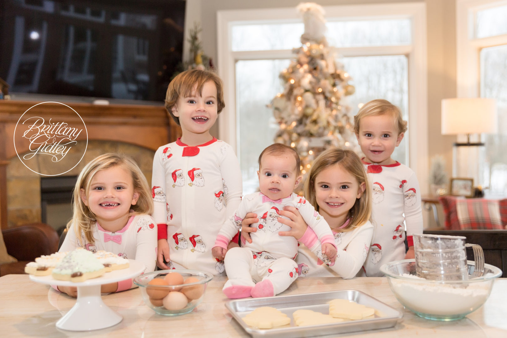 Christmas Cookie Photo Shoot
