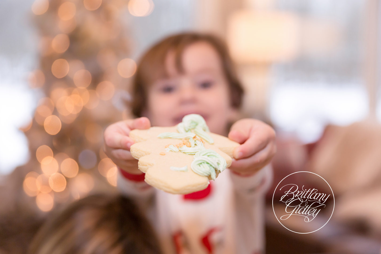 Christmas Cookie Photo Shoot