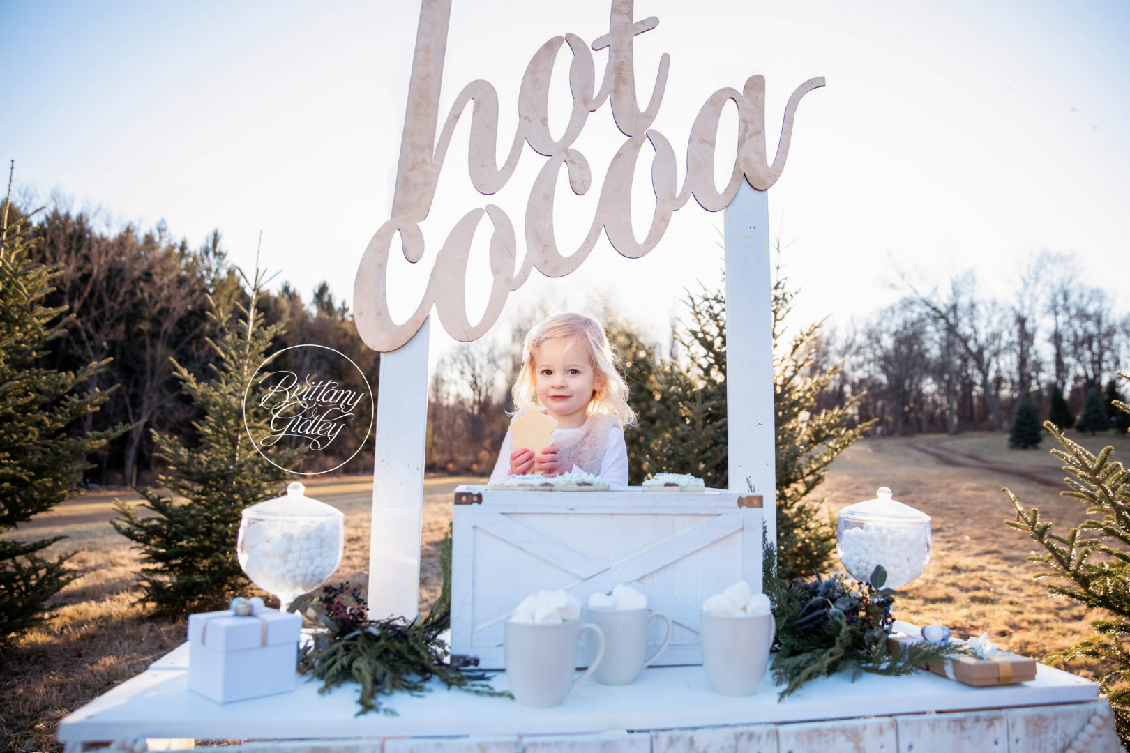 Hot Cocoa Photo Shoot Dream Session