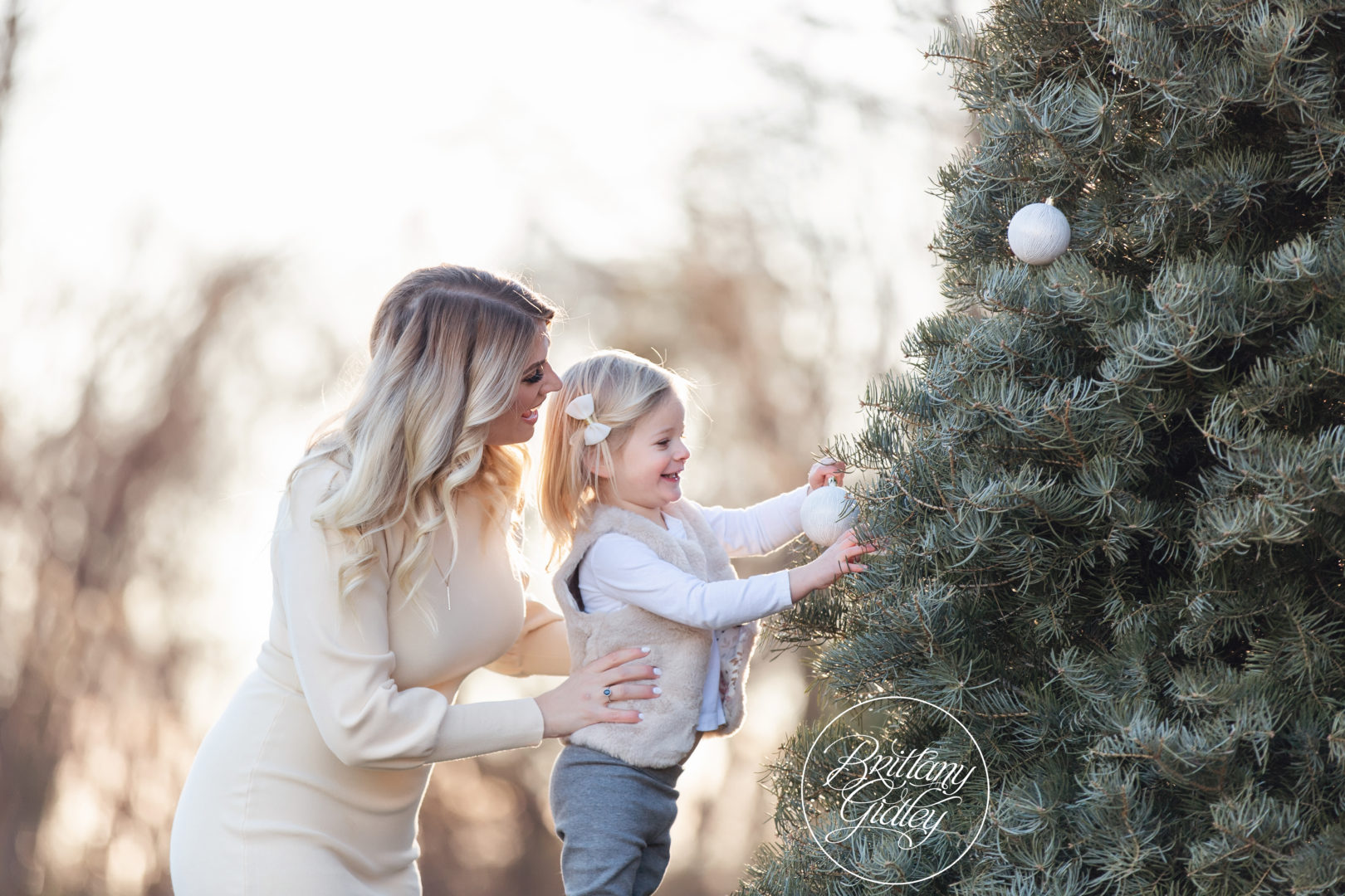 Tree Farm Photo Shoot Dream Session