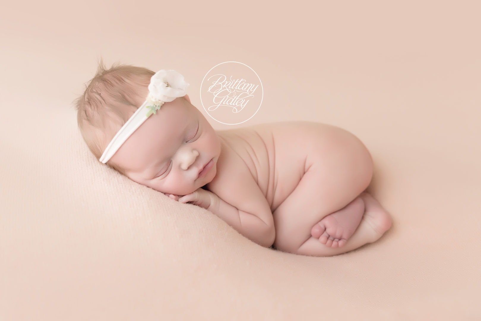 Blushing Baby Cosette Dream Session