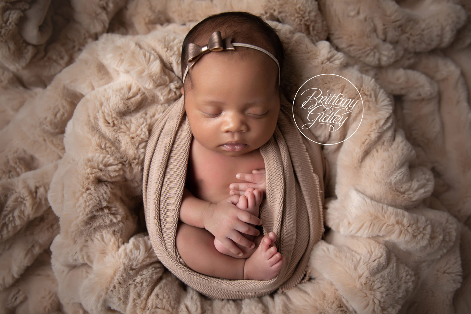 Newborn Photographer Ohio
