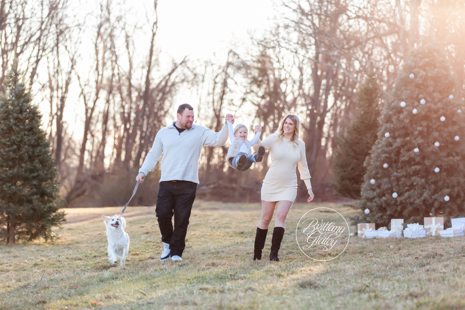 Tree Farm Photo Shoot Dream Session