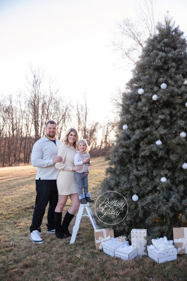 Hot Cocoa Christmas Photo Shoot Dream Session