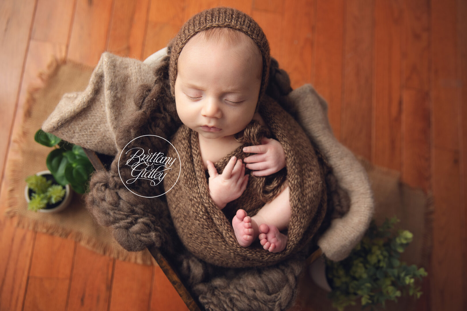 2 Month Old Baby Photo Shoot
