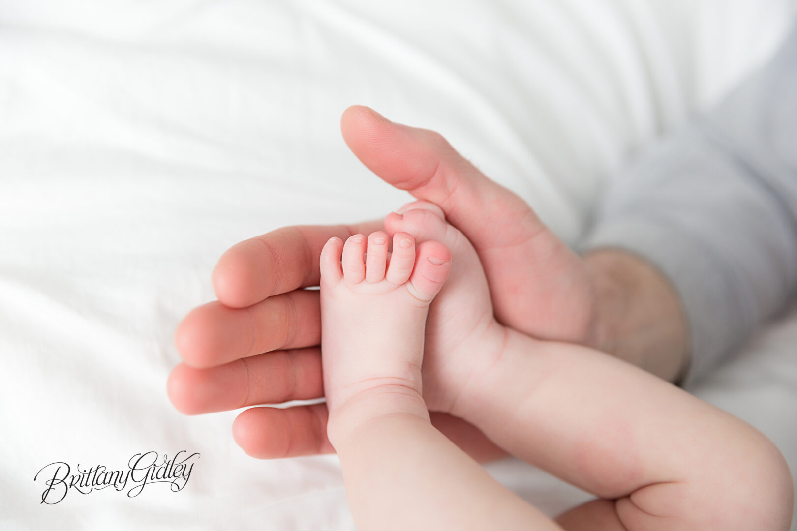 2 Month Old Baby Photography