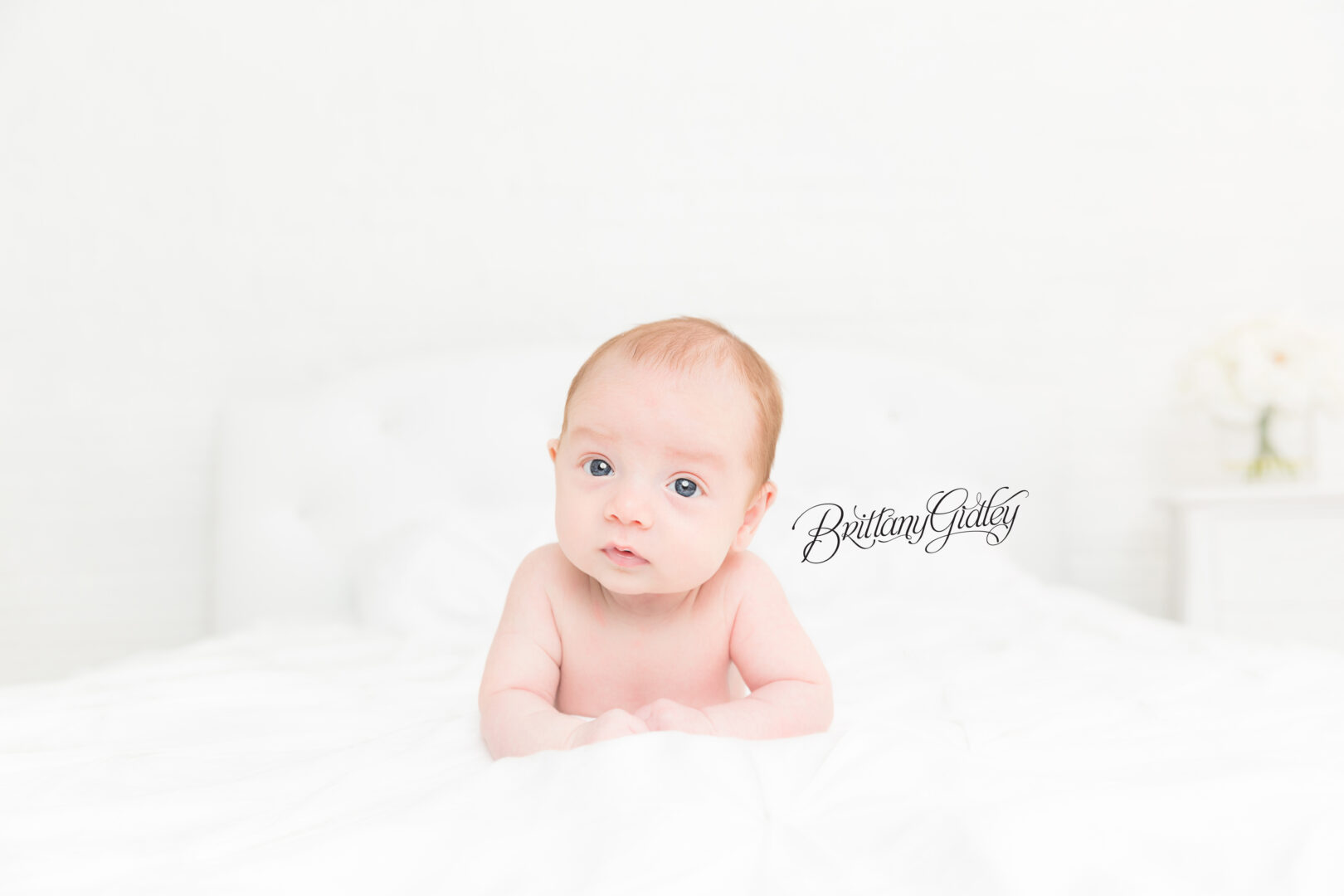 8 Week Old Baby Photography