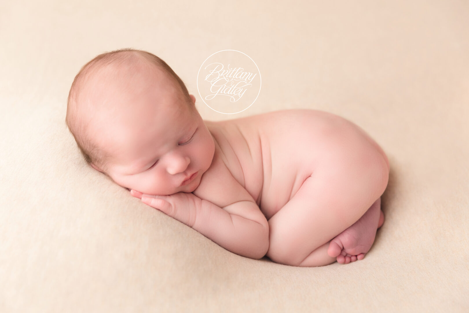 Baby Boy Newborn Posing