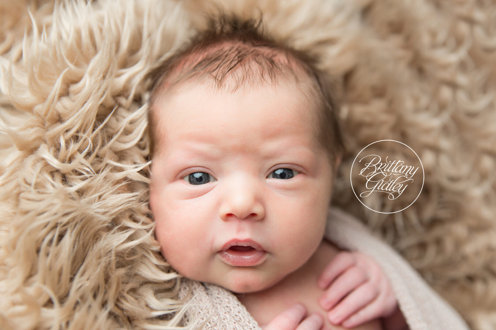 Baby Photo Shoot
