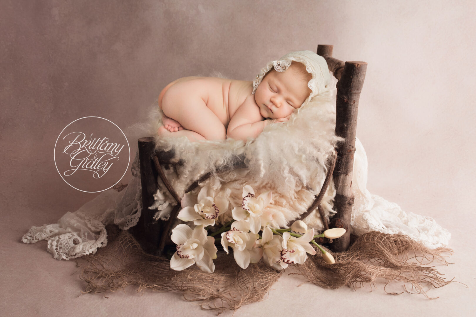 Cleveland Browns Photographer Newborn Baby