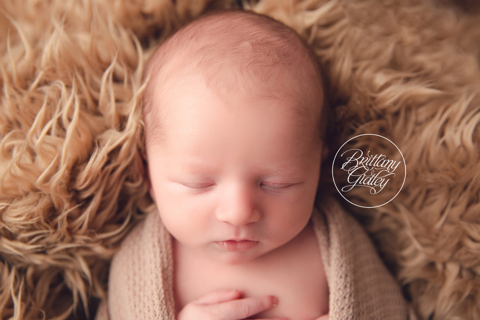 Top Newborn Photographer Cleveland Ohio | Newborn Photography Cleveland Ohio